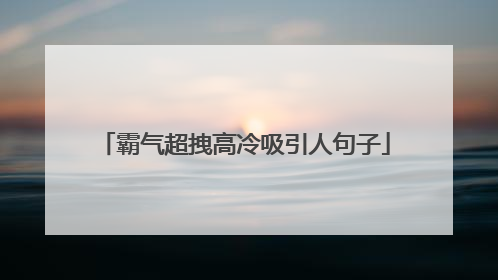 霸气超拽高冷吸引人句子