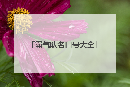 霸气队名口号大全