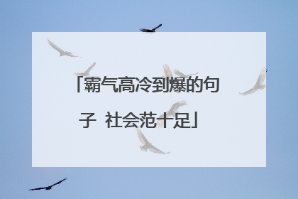 霸气高冷到爆的句子 社会范十足
