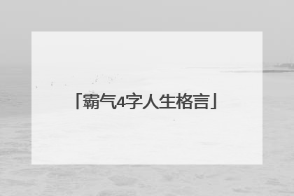 霸气4字人生格言