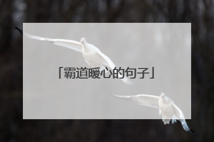 霸道暖心的句子