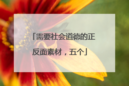 需要社会道德的正反面素材,五个