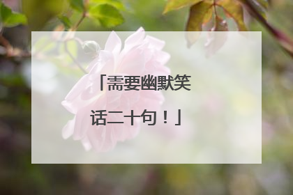 需要幽默笑话二十句!