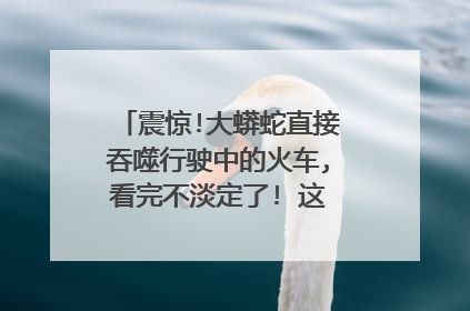 震惊!大蟒蛇直接吞噬行驶中的火车,看完不淡定了! 这电影叫什么名字