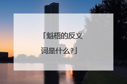 魁梧的反义词是什么?