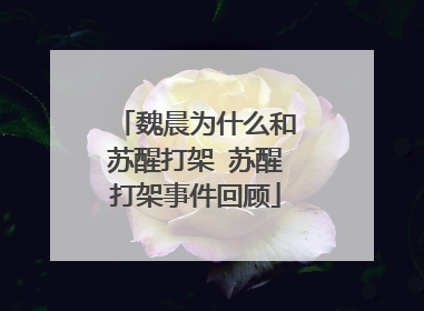 魏晨为什么和苏醒打架 苏醒打架事件回顾