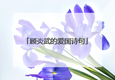 顾炎武的爱国诗句