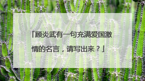 顾炎武有一句充满爱国激情的名言,请写出来?