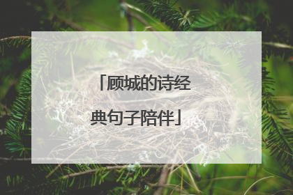 顾城的诗经典句子陪伴