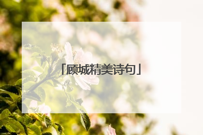 顾城精美诗句