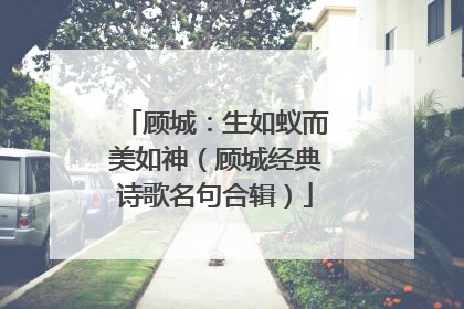 顾城:生如蚁而美如神(顾城经典诗歌名句合辑)