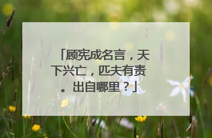 顾宪成名言，天下兴亡，匹夫有责。出自哪里？