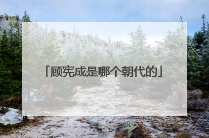 顾宪成是哪个朝代的