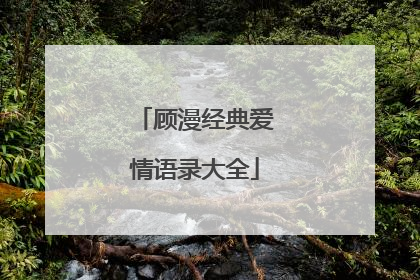 顾漫经典爱情语录大全