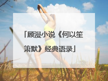 顾漫小说《何以笙箫默》经典语录