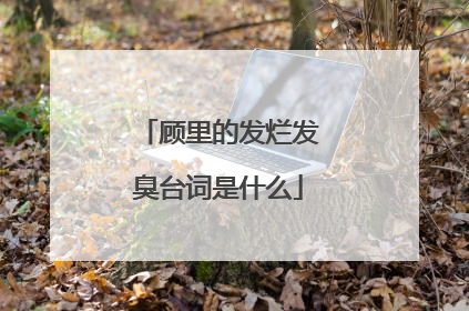 顾里的发烂发臭台词是什么