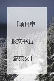 项目申报文书五篇范文