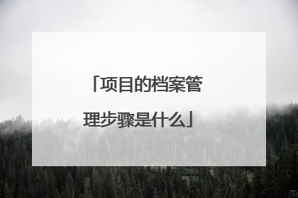 项目的档案管理步骤是什么