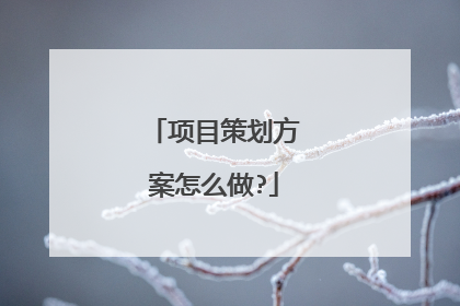 项目策划方案怎么做?