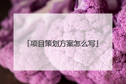 项目策划方案怎么写