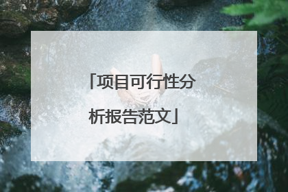 项目可行性分析报告范文