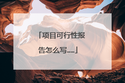 项目可行性报告怎么写……