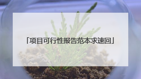 项目可行性报告范本求速回