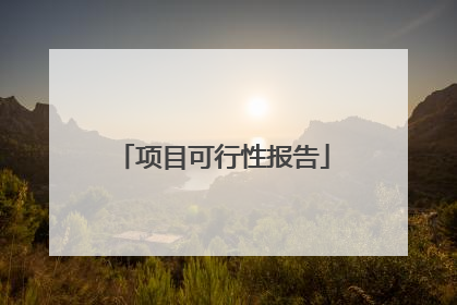 项目可行性报告