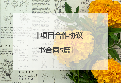 项目合作协议书合同5篇