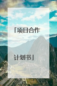 项目合作计划书