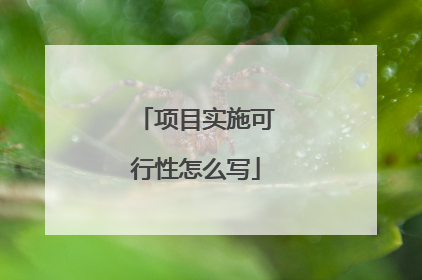 项目实施可行性怎么写