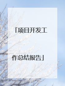 项目开发工作总结报告