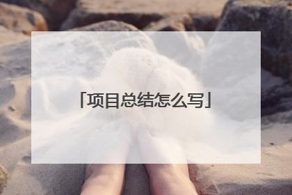 项目总结怎么写