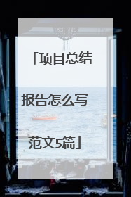 项目总结报告怎么写范文5篇