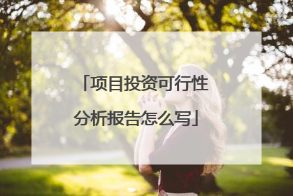 项目投资可行性分析报告怎么写