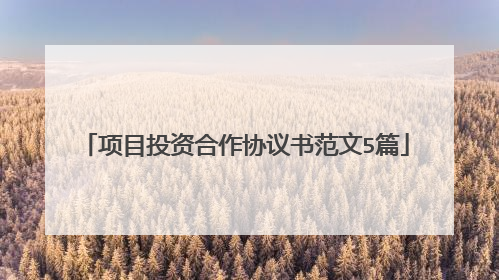 项目投资合作协议书范文5篇