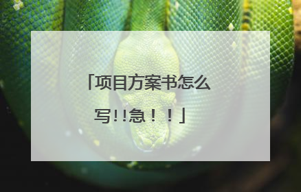 项目方案书怎么写!!急！！