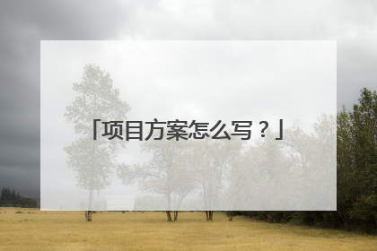 项目方案怎么写？