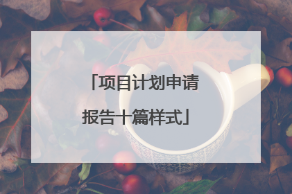 项目计划申请报告十篇样式