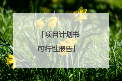 项目计划书可行性报告