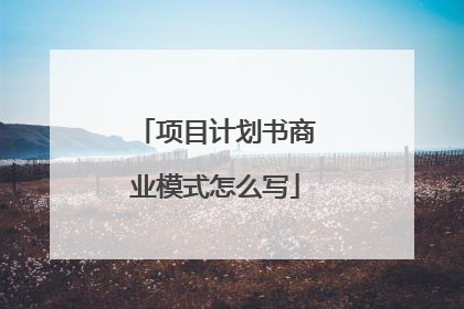 项目计划书商业模式怎么写