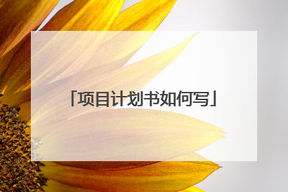 项目计划书如何写