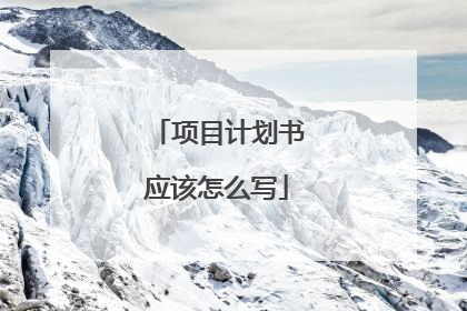 项目计划书应该怎么写