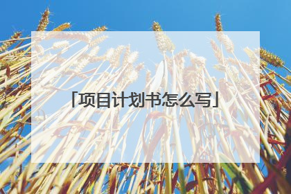 项目计划书怎么写