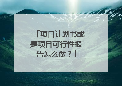 项目计划书或是项目可行性报告怎么做?