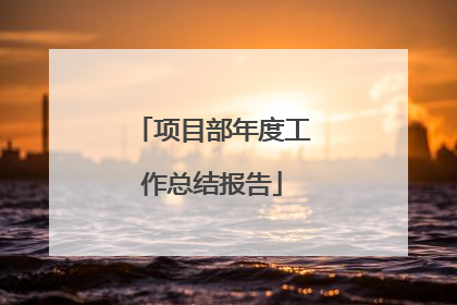项目部年度工作总结报告