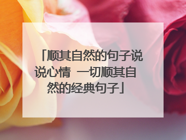 顺其自然的句子说说心情 一切顺其自然的经典句子