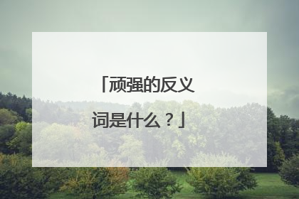 顽强的反义词是什么？