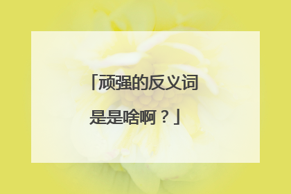 顽强的反义词是是啥啊？