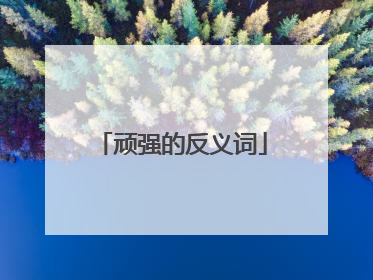 顽强的反义词